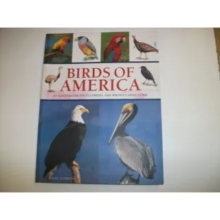 Birds of America