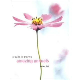 A Guide to Growing Amazing Annuals