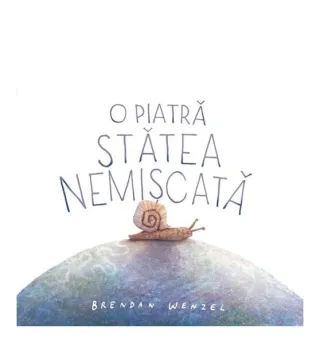 O piatră stătea nemișcată