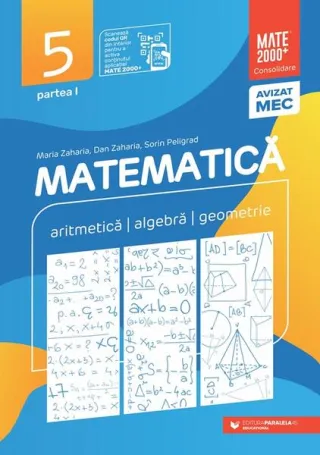 Matematică. Aritmetică, algebră, geometrie. Clasa a V-a. Consolidare. Partea a I-a