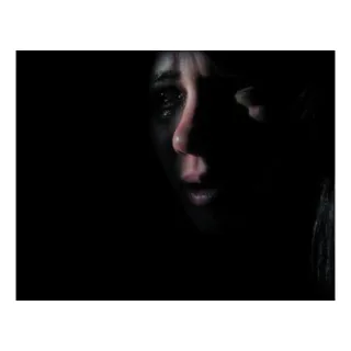 Laurel Nakadate365 Days A Catalogue Of Tears
