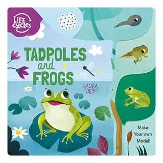 Tadpoles and Frogs