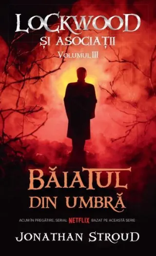 Băiatul din umbră. Seria Lockwood și asociații (Vol.3)