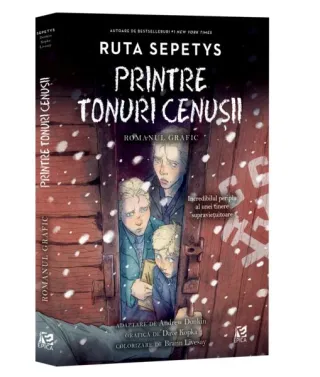 Printre tonuri cenușii