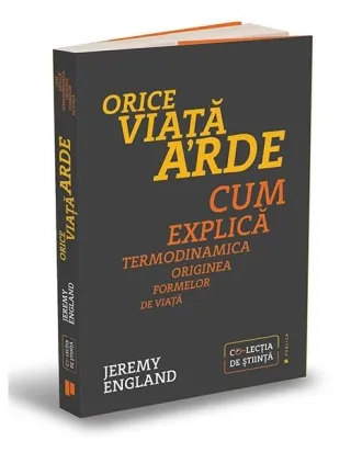 Orice viață arde. Cum explică termodinamica originea formelor de viață