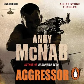 Aggressor