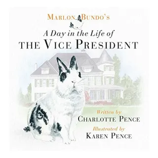 A day in the life of the vice president