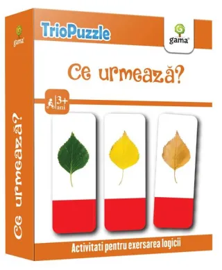 Ce urmează?