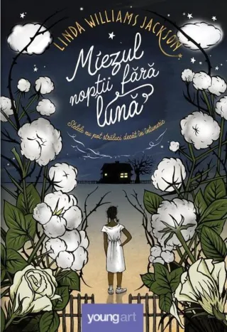 Miezul nopții fără lună