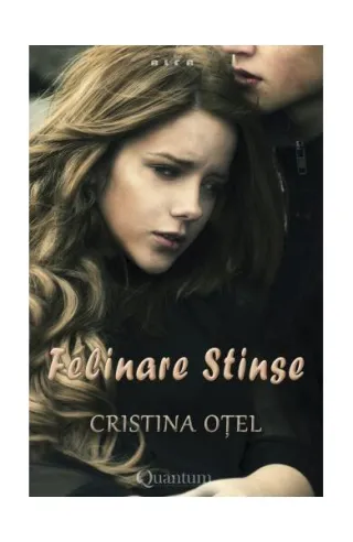 Felinare stinse