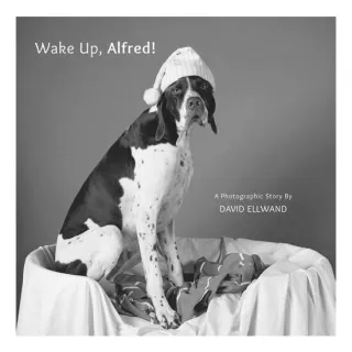 Wake Up, Alfred!