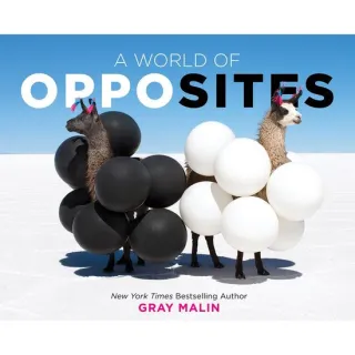 A World of Opposites A Picture Book