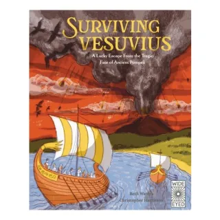 Surviving Vesuvius A Lucky Escape From the Tragic Fate of Ancient Pompeii