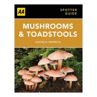 Mushrooms and Toadstools, Andrew Merrick