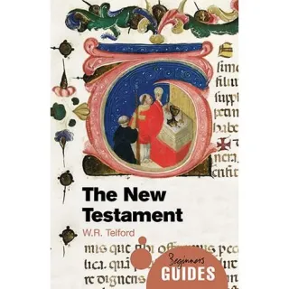 The New Testament: A Beginner's Guide
