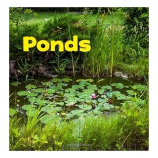 Bodies Of Water: Ponds