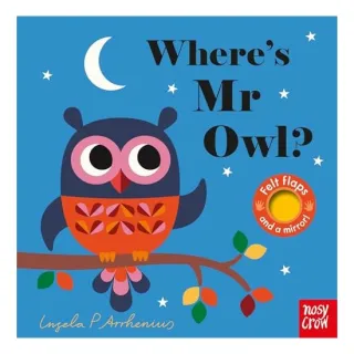 Where's Mr Owl? (Felt Flaps)