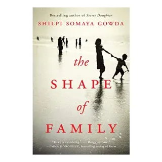 The shape of family : a novel