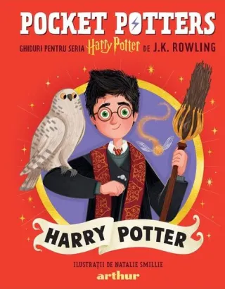 Pocket Potters: Harry Potter (Vol. 1)