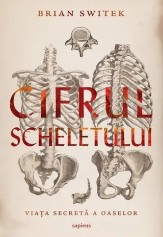 Cifrul scheletului