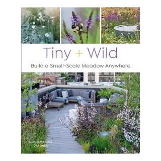 Tiny and Wild Build a Small-Scale Meadow Anywhere