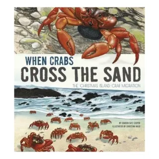 When Crabs Cross the Sand