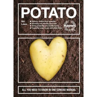 Potato