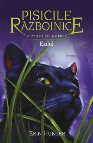 Pisicile războinice. Puterea celor trei. Exilul (Vol.15)