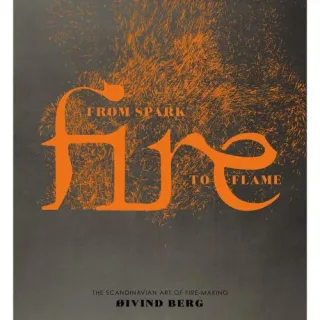 Fire: From Spark to Flame