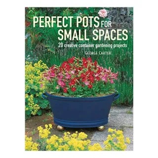 Perfect Pots for Small Spaces