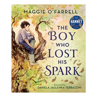 Boy Who Lost His Spark