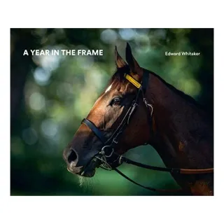 A Year in the Frame