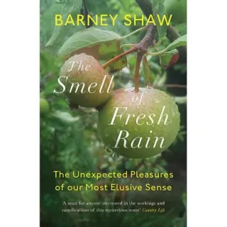 The Smell of Fresh Rain