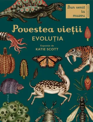 Povestea vieții: Evoluția