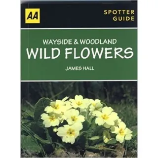 Wayside & Woodland Wild Flowers