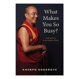 What Makes You So Busy?: Finding Peace In The Mode(...)