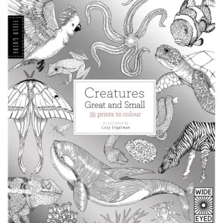FIELD GUIDE: CREATURES GREAT & SMALL COLOURING