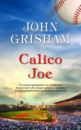 Calico Joe