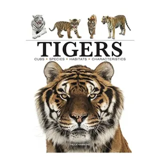 Tigers