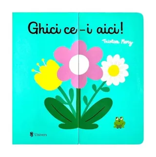 Ghici ce-i aici!