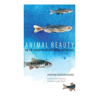 Animal Beauty
