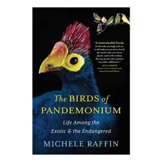 The birds of Pandemonium