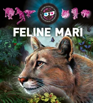 Feline mari 3D