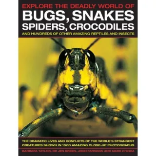 Bugs, Snakes, Spiders, Crocodiles