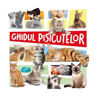 Ghidul pisicuțelor