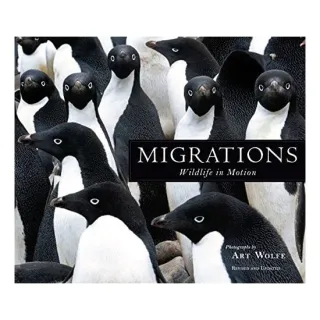 Migrations