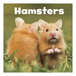 Hamsters